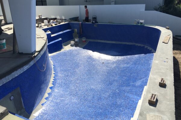 15c35f35 2b2b 456e 8e74 f6ec76384b1e 1 105 c